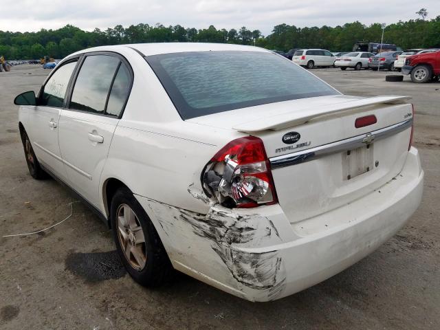 1G1ZT52895F299080 - 2005 CHEVROLET MALIBU LS  photo 3