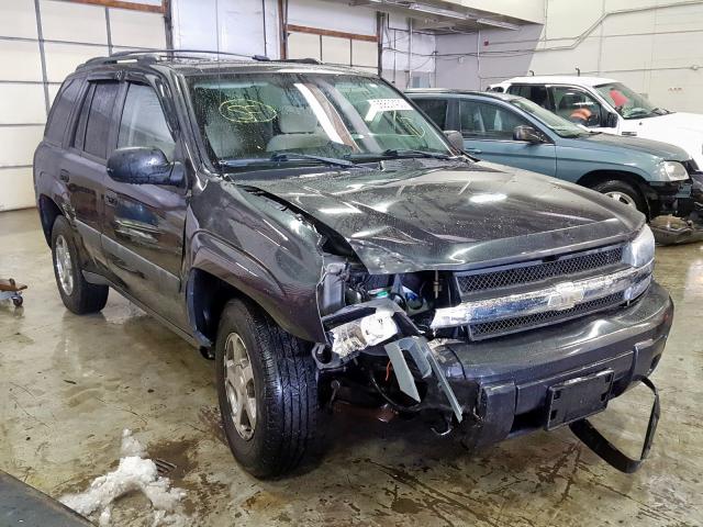 1GNDT13S152163173 - 2005 CHEVROLET TRAILBLAZER LS  photo 1