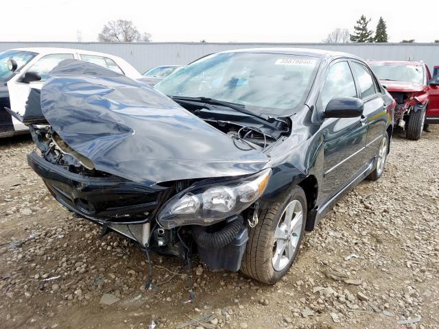 2T1BU4EE6BC737107 - 2011 TOYOTA COROLLA BASE  photo 2