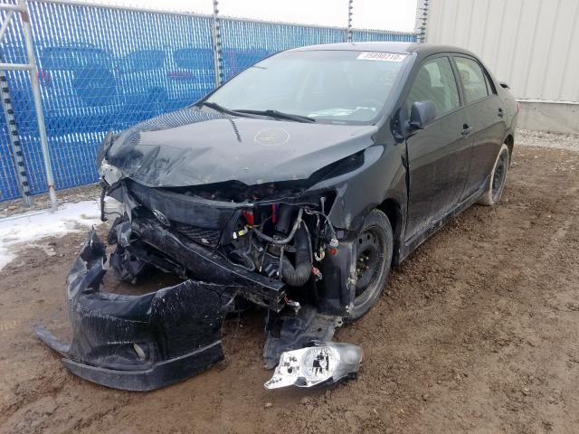 2T1BU4EE7AC399568 - 2010 TOYOTA COROLLA BASE  照片 2