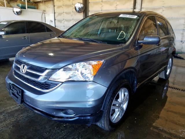 5J6RE4H71BL093687 - 2011 HONDA CR-V EXL  photo 2