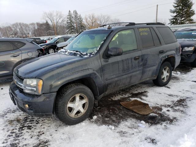 1GNDT13S462152623 - 2006 CHEVROLET TRAILBLAZE LS GRAY photo 1