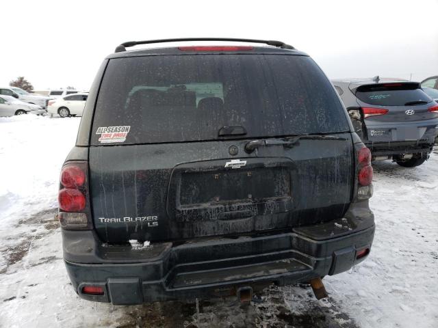 1GNDT13S462152623 - 2006 CHEVROLET TRAILBLAZE LS GRAY photo 6