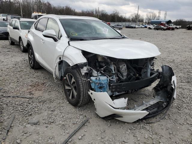 JTJYARBZ7K2120818 - 2019 LEXUS NX 300 BASE თეთრი ფოტო 4