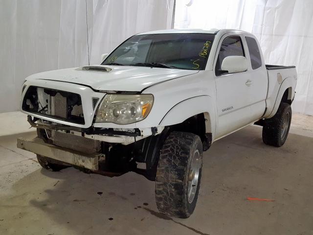 5TEUU42N97Z385638 - 2007 TOYOTA TACOMA ACCESS CAB  photo 2