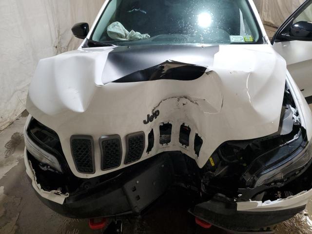 1C4PJMBX7ND519396 - 2022 JEEP CHEROKEE TRAILHAWK 白色 照片 11