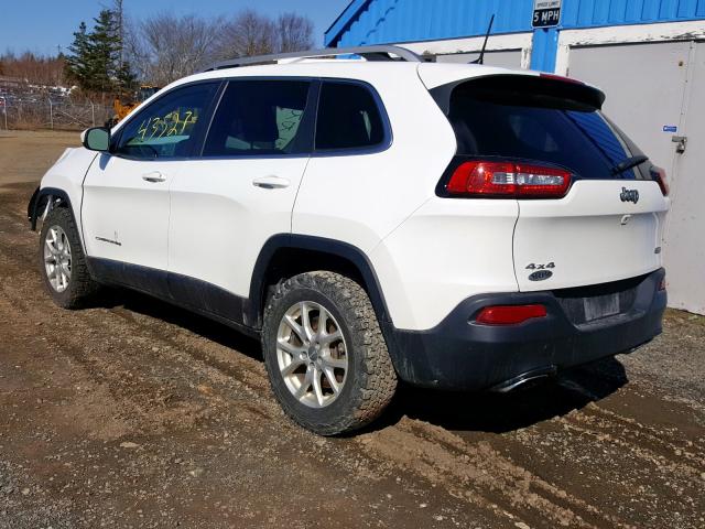 1C4PJMCS5HW606905 - 2017 JEEP CHEROKEE LATITUDE  photo 3