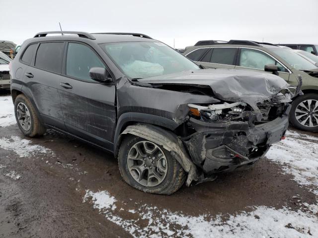 1C4PJMBX7LD557336 - 2020 JEEP CHEROKEE TRAILHAWK 石墨色 照片 4