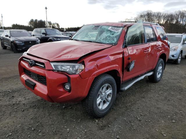 JTEMU5JRXP6102652 - 2023 TOYOTA 4RUNNER SE RED photo 1