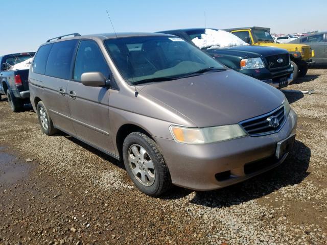 5FNRL18954B056689 - 2004 HONDA ODYSSEY EXL  ფოტო 1