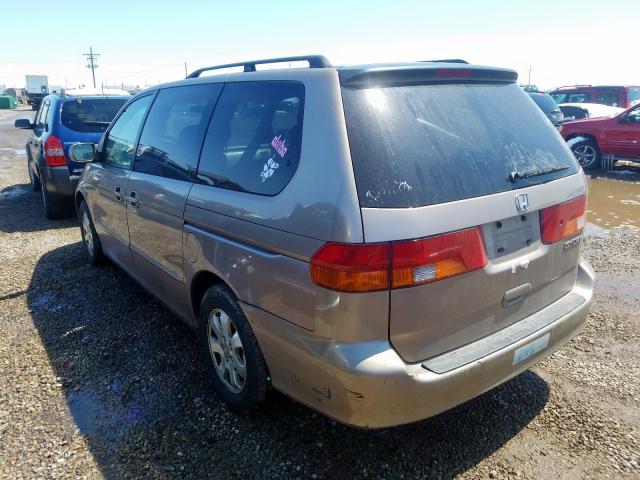 5FNRL18954B056689 - 2004 HONDA ODYSSEY EXL  ფოტო 3
