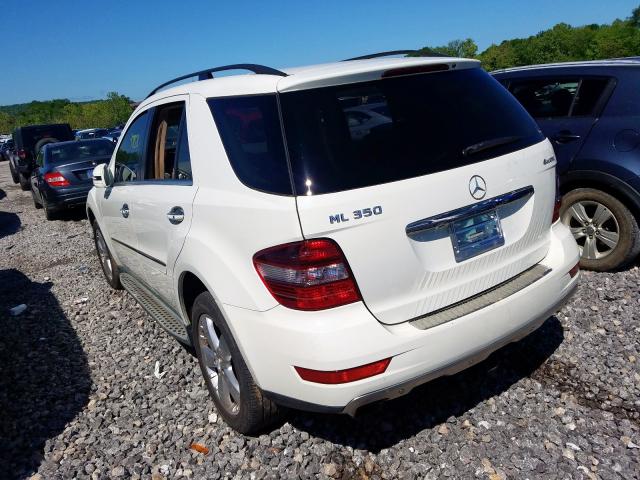 4JGBB8GB4BA702615 - 2011 MERCEDES-BENZ ML 350 4MATIC  photo 3