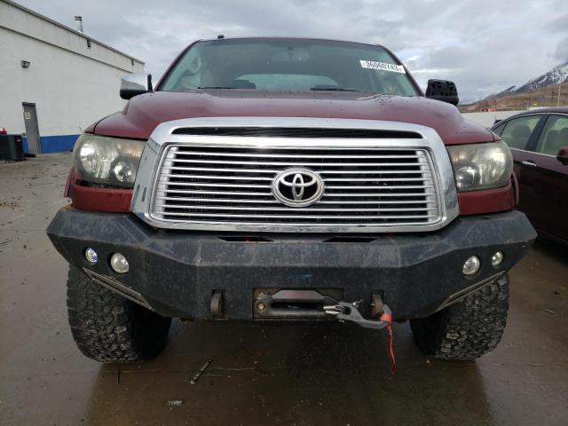 5TFHY5F13AX118738 - 2010 TOYOTA TUNDRA CREWMAX LIMITED MAROON photo 5