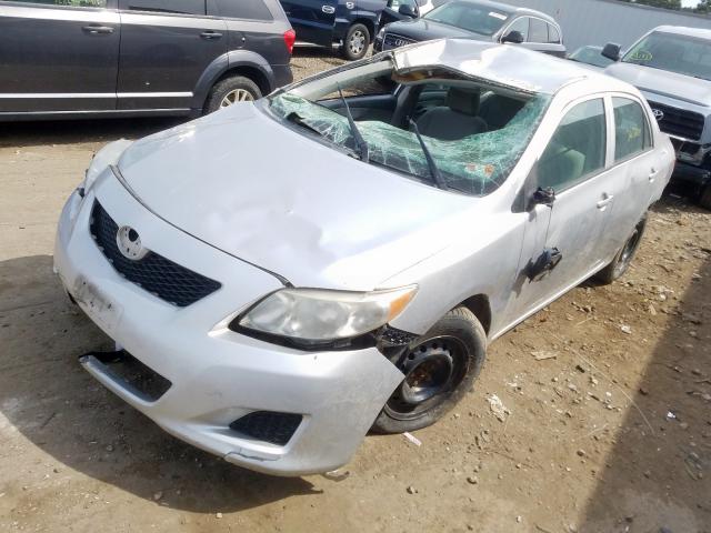 2T1BU4EE2AC373749 - 2010 TOYOTA COROLLA BASE  photo 2