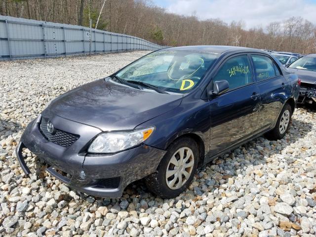 2T1BU4EE6AC337420 - 2010 TOYOTA COROLLA BASE  photo 2