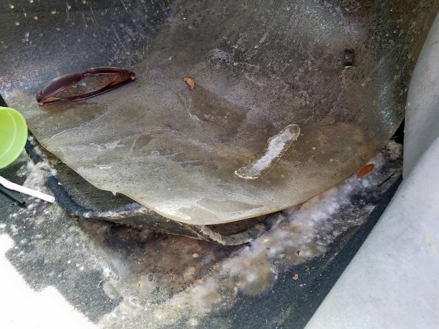 1NXBU40E39Z140917 - 2009 TOYOTA COROLLA BASE  照片 9