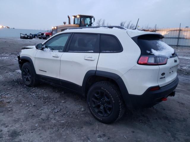 1C4PJMBX9KD343026 - 2019 JEEP CHEROKEE TRAILHAWK WHITE photo 2