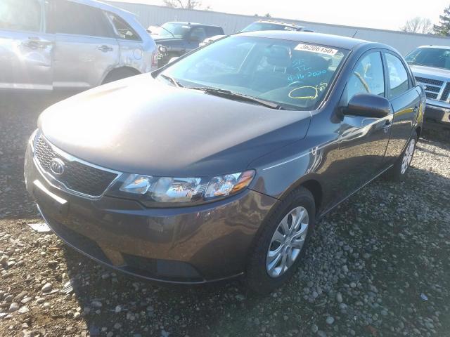 KNAFU4A2XD5724211 - 2013 KIA FORTE EX  photo 2