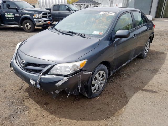 2T1BU4EE3BC562685 - 2011 TOYOTA COROLLA BASE  foto 2