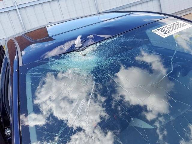 2T1BU4EE0BC614418 - 2011 TOYOTA COROLLA BASE  photo 9