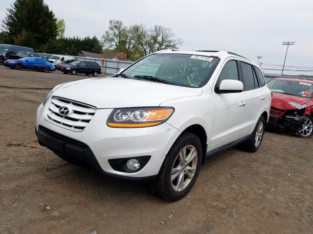 5XYZKDAG0BG001683 - 2011 HYUNDAI SANTA FE LIMITED  photo 2