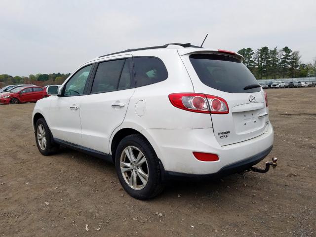 5XYZKDAG0BG001683 - 2011 HYUNDAI SANTA FE LIMITED  photo 3