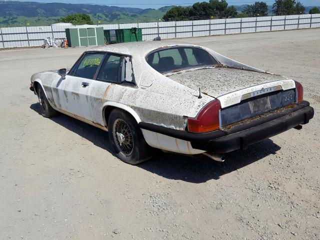 UG2W52207 - 1976 JAGUAR XJS  photo 3