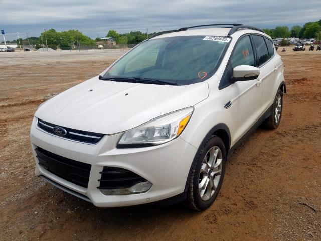 1FMCU0HX7DUC53507 - 2013 FORD ESCAPE SEL  photo 2