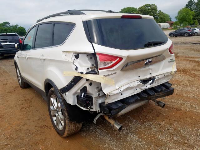 1FMCU0HX7DUC53507 - 2013 FORD ESCAPE SEL  photo 3