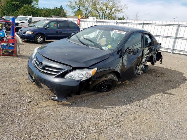 2T1BU4EE7DC936184 - 2013 TOYOTA COROLLA BASE  photo 2