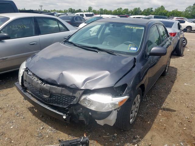 JTDBL40E49J033125 - 2009 TOYOTA COROLLA BASE  photo 2