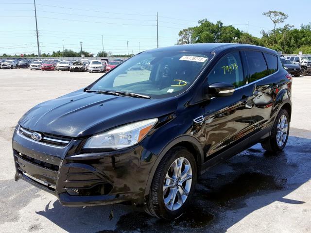 1FMCU0H92DUC79353 - 2013 FORD ESCAPE SEL  photo 2