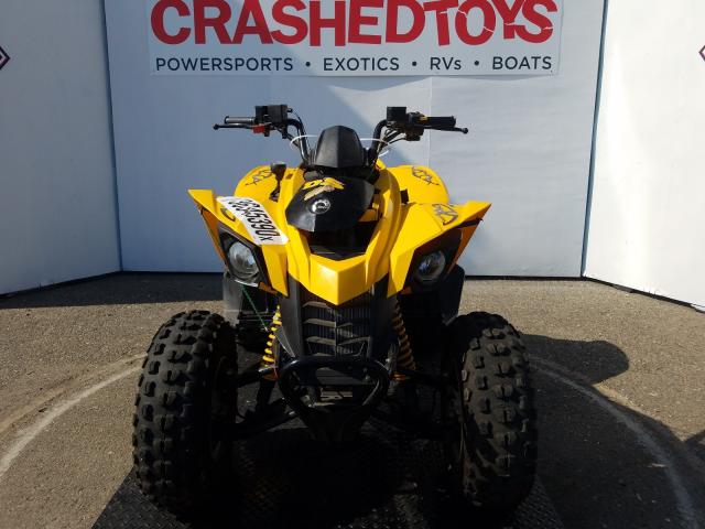 RFGUB25156S000532 - 2006 CAN-AM DS 250  photo 2