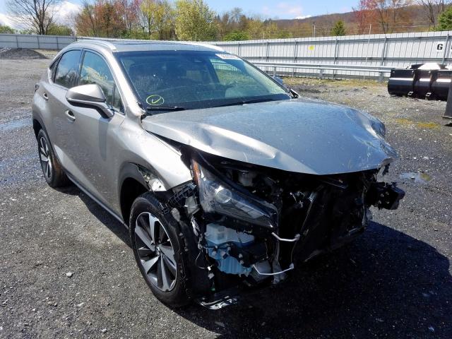 JTJBARBZ3K2184358 - 2019 LEXUS NX 300 BASE  ფოტო 1