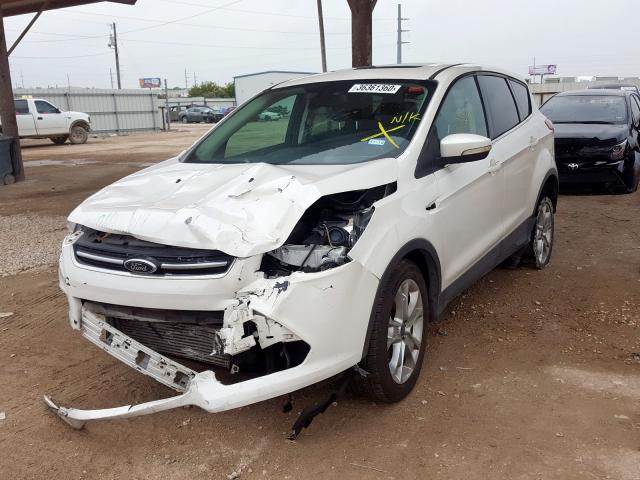 1FMCU0H9XDUA10758 - 2013 FORD ESCAPE SEL  photo 2