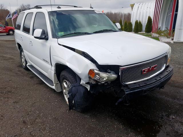 1GKEK63U83J249876 - 2003 GMC YUKON DENALI  photo 1