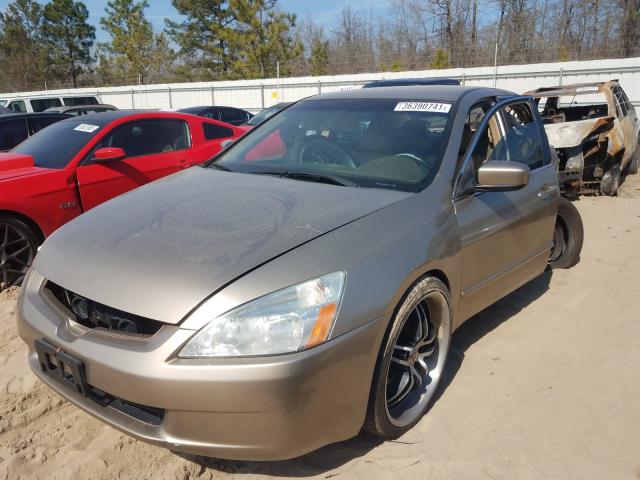 JHMCN36405C010221 - 2005 HONDA ACCORD HYBRID TAN photo 2