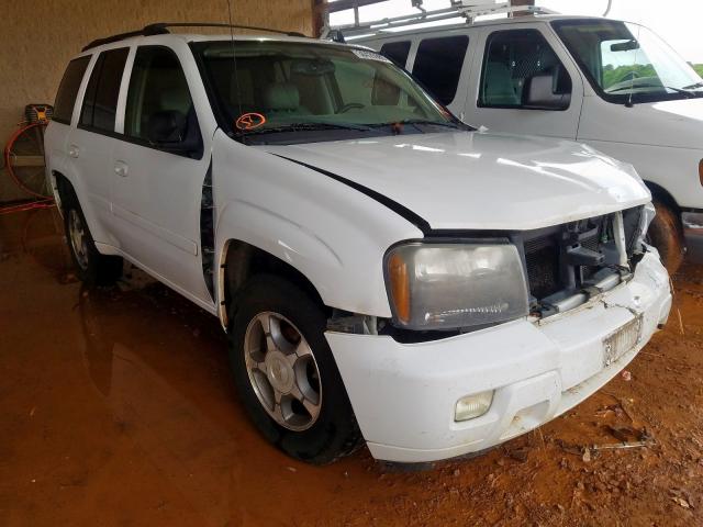 1GNDT13S962168266 - 2006 CHEVROLET TRAILBLAZER LS  photo 1