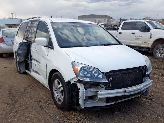 5FNRL38416B400960 - 2006 HONDA ODYSSEY EX  photo 1