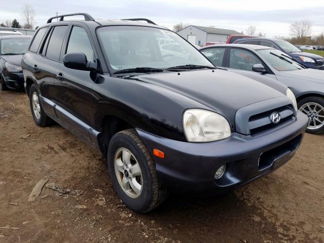 KM8SC73DX5U943841 - 2005 HYUNDAI SANTA FE GLS  photo 1