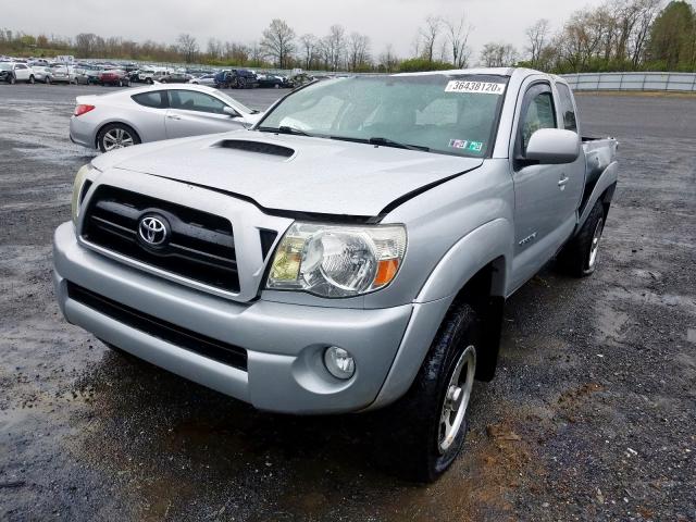 5TEUU42N28Z554027 - 2008 TOYOTA TACOMA ACCESS CAB  ფოტო 2