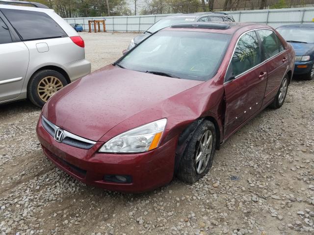 1HGCM66594A008509 - 2004 HONDA ACCORD EX  photo 2