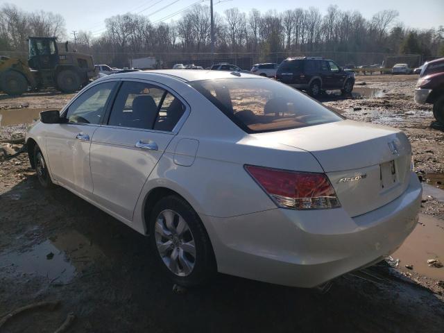 5KBCP3F88AB013350 - 2010 HONDA ACCORD EXL WHITE photo 2