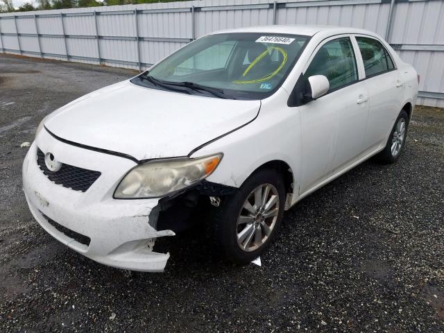 2T1BU4EE2AC287616 - 2010 TOYOTA COROLLA BASE  照片 2