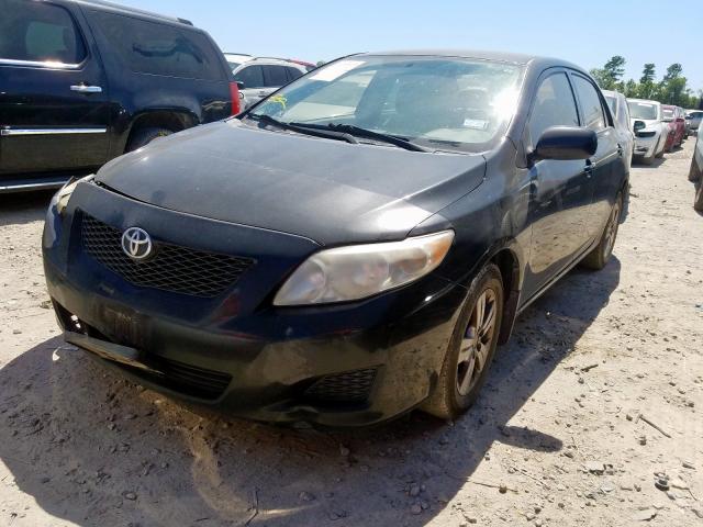 1NXBU4EE6AZ301869 - 2010 TOYOTA COROLLA BASE  photo 2