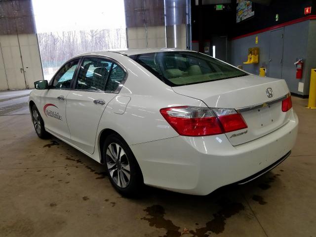 1HGCR2F3XDA053130 - 2013 HONDA ACCORD LX  photo 3