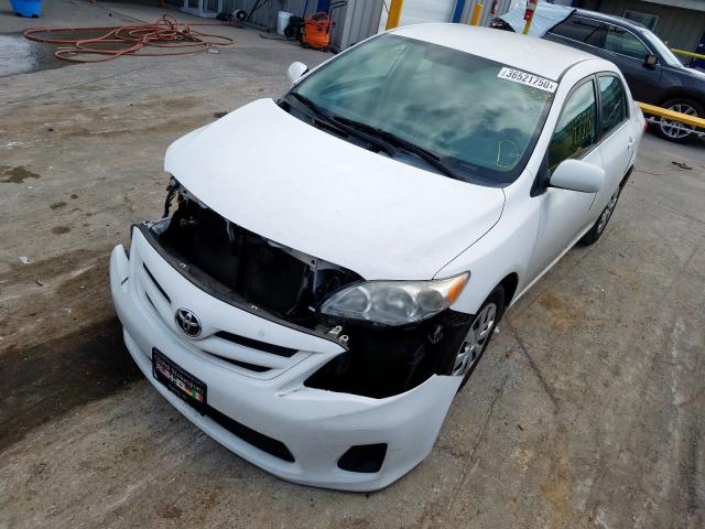 2T1BU4EE6BC612575 - 2011 TOYOTA COROLLA BASE  photo 2