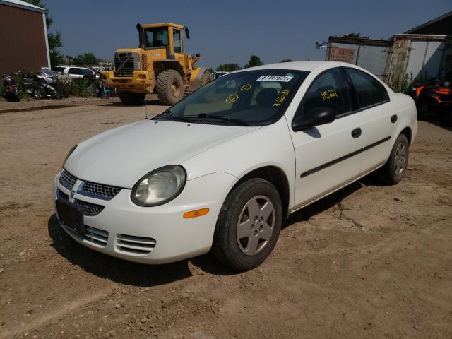 1B3ES26C33D179209 - 2003 DODGE NEON SE WHITE photo 2