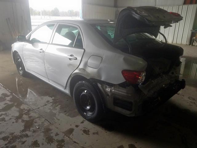 2T1BU4EE9AC299861 - 2010 TOYOTA COROLLA BASE  photo 3