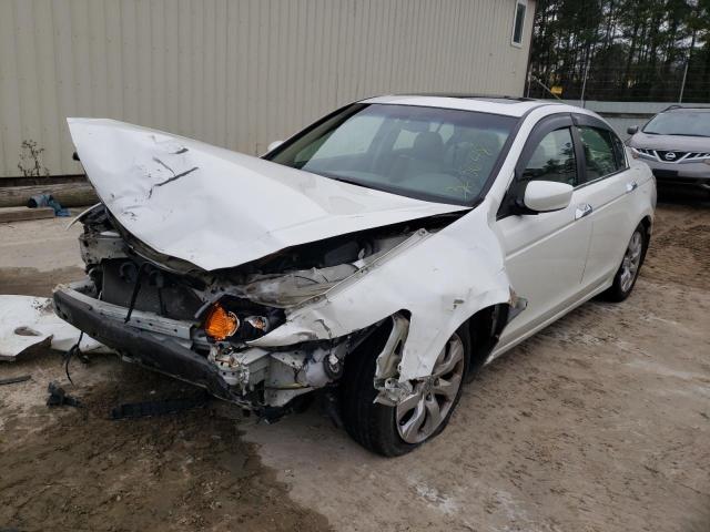 1HGCP3F85AA002816 - 2010 HONDA ACCORD EXL WHITE photo 1